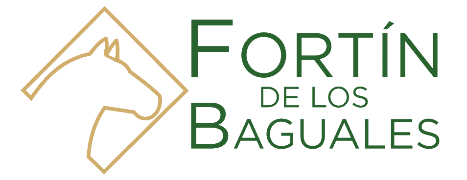 Fortín De Los Baguales